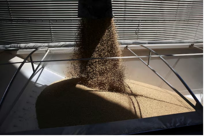 El esquema tributario vigente implica una mejora de entre USD 38 y 76 por hectárea en la rentabilidad neta del productor (Reuters)