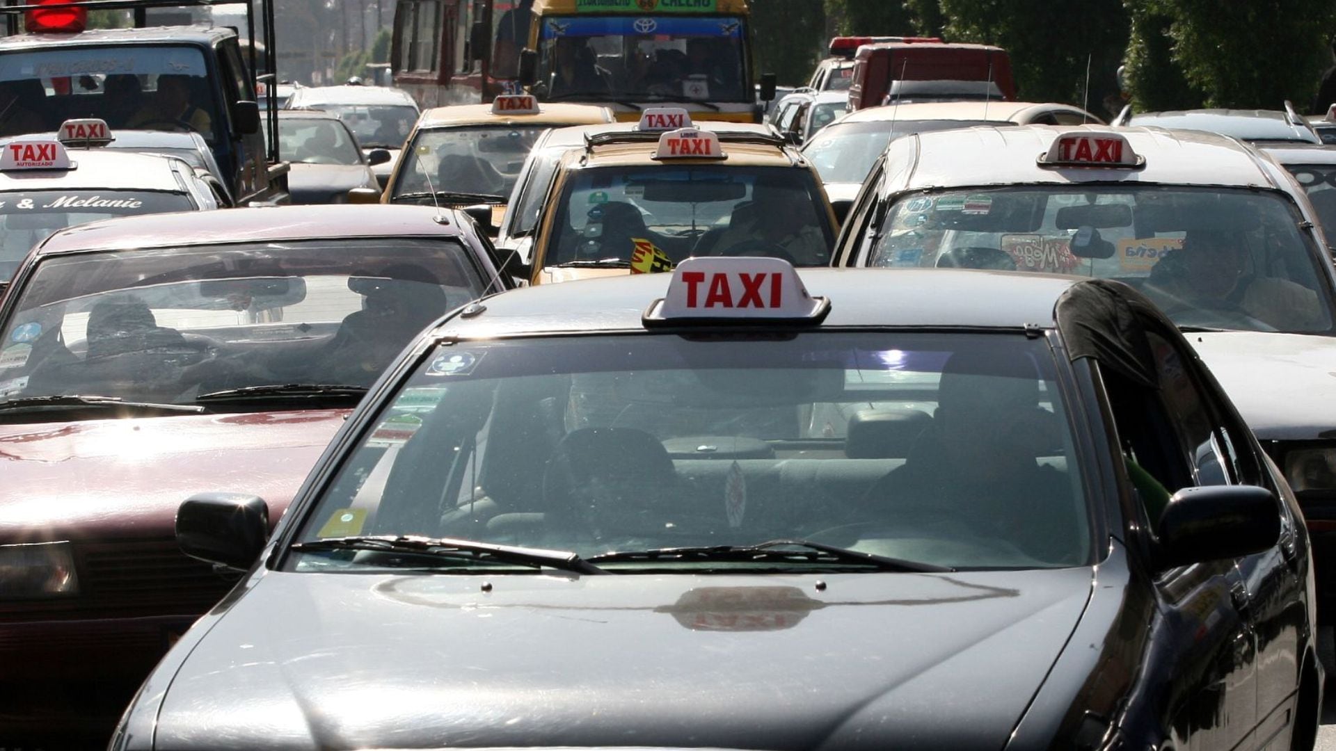 MTC lanza la emisión electrónica del certificado de titularidad de licencias de conducir