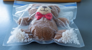Primer plano de un oso de peluche marrón con corbatín rojo dentro de una bolsa de plástico transparente sellada, con gotas de agua y escarcha en la base.