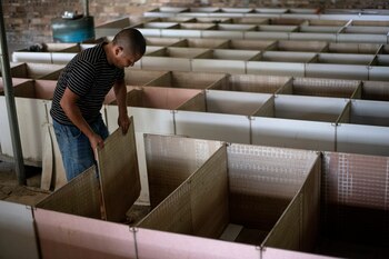 Los granjeros chinos que criaban