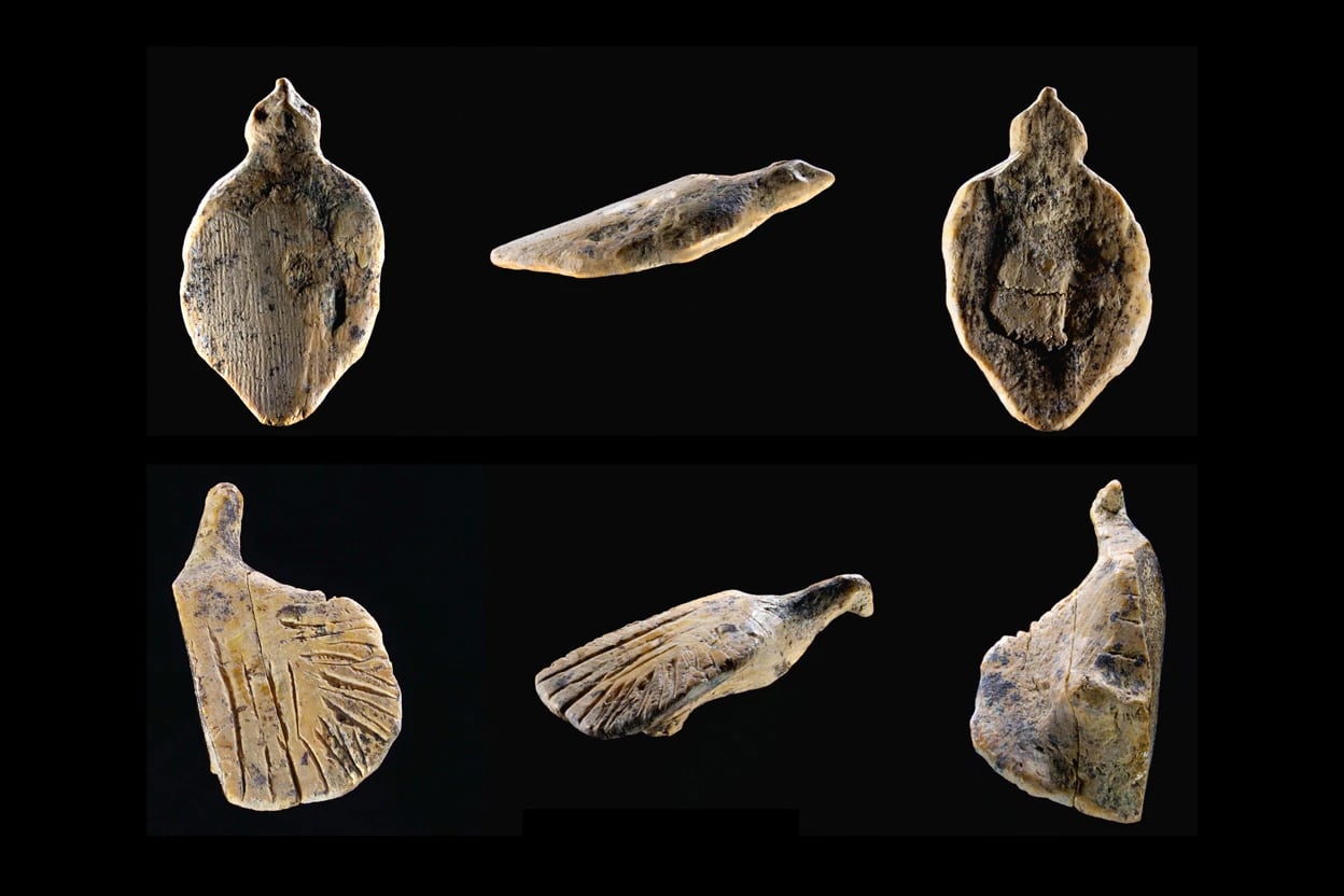 Tesoro prehistórico en Alemania: descubren esculturas de aves de marfil de hace 40.000 años