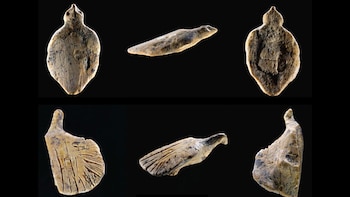 Tesoro prehistórico en Alemania: descubren esculturas de aves de marfil de hace 40.000 años