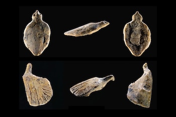 Investigadores debaten si estas figuras funcionaban como recuerdos, símbolos de pertenencia o elementos de rituales vinculados al nacimiento (R. Ehmann, Universidad de Tubinga)