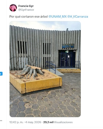 Vecinos reportaron la tala de un árbol de una clínica de la UNAM (X/ @GyrFrance)