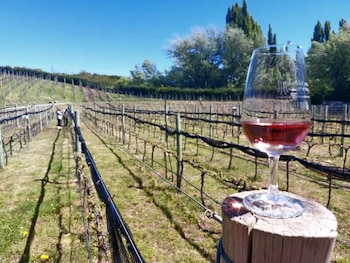 Entre Ríos se destaca por