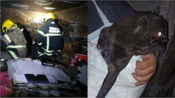 (Foto: X/@seguridadneza)