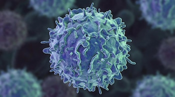 La composición inmunológica de la