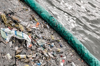 Fotografía de basura en una