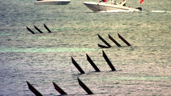 El régimen de China realizó