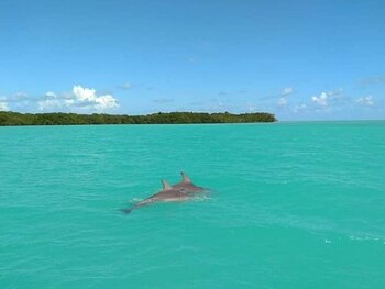 (Foto: Instagram @punta_allen_siankaan)