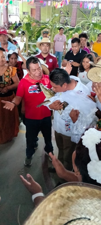 La caimán hembra de este