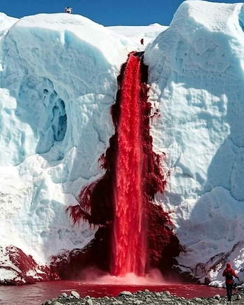 Las investigaciones recientes confirman que