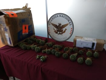 Fueron dos cajas de cartón