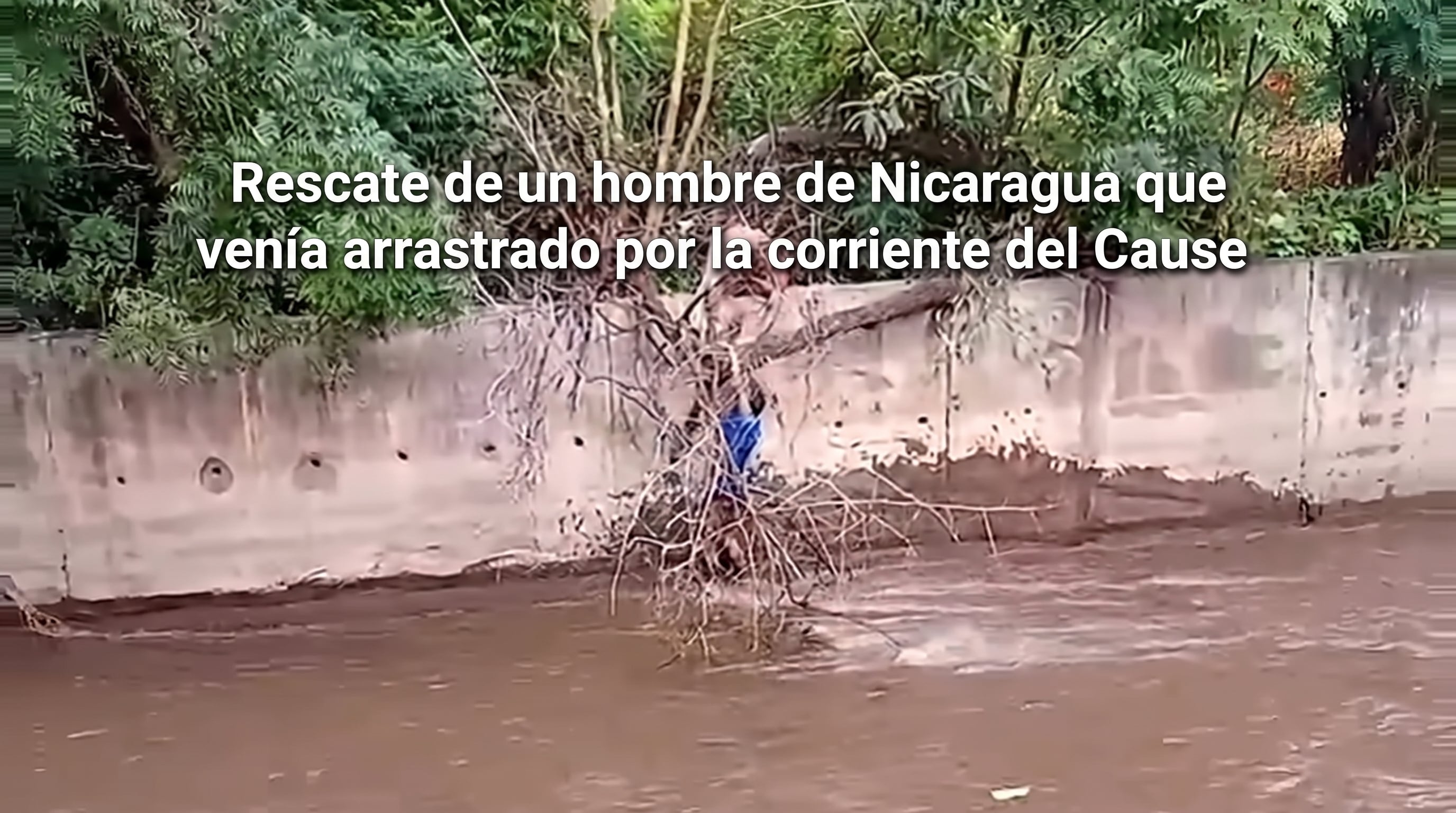 Un hombre se sujeta de unas ramas para evitar ser arrastrado por la corriente de un cauce en Nicaragua. (Imagen Ilustrativa Infobae)