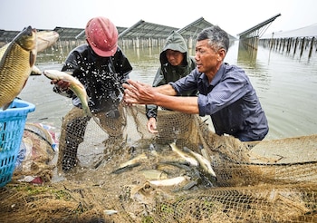 China posee la flota de