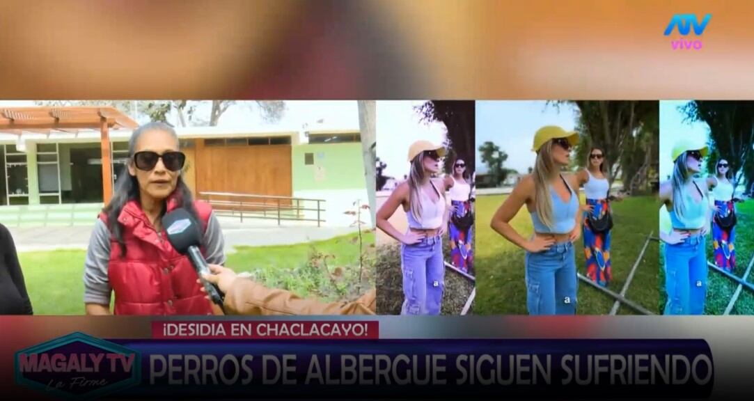 Animalistas responde a Alejandra Baigorria por denuncia contra albergue: “Ninguna de nosotras va a postular”. Captura: Magaly TV La Firme.
