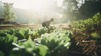 Trabajadores en el campo, cultivando diversos vegetales en la fértil tierra. Este oficio es fundamental, generando empleo y fortaleciendo la economía local. (Imagen ilustrativa Infobae)
