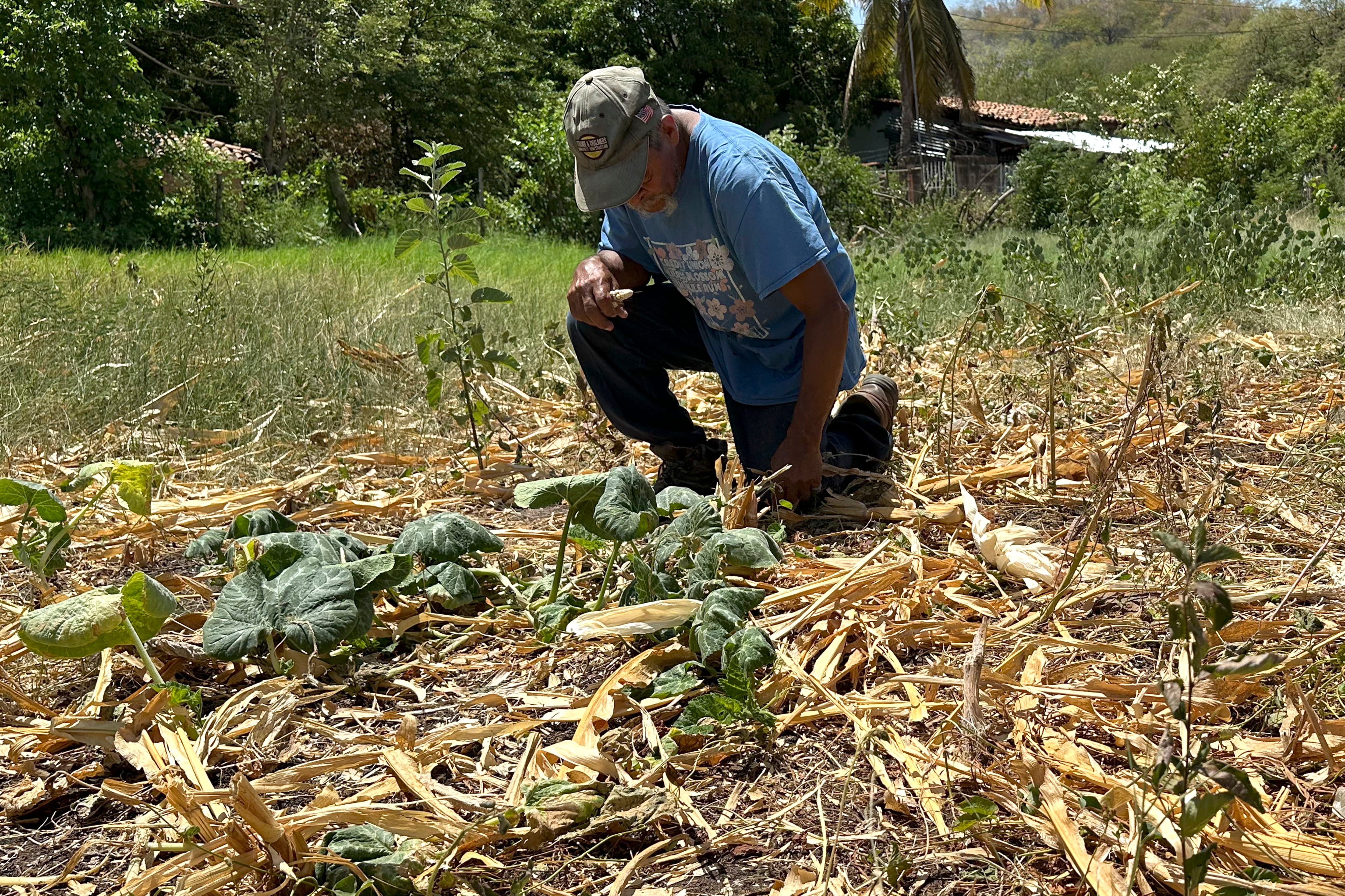 De los 298 municipios de Honduras, 103 están en