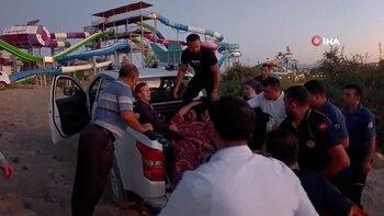 Un león escapó de un zoológico en Turquía e hirió a un granjero