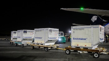 Los inoculantes fueron donados por