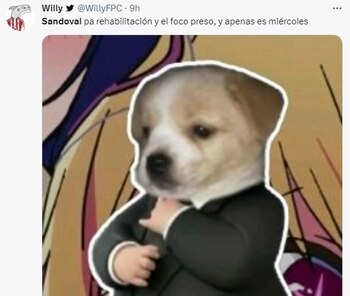 Los mejores memes de los