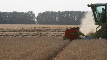 Ucrania: breve perfil del granero