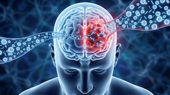 Una terapia con nanopartículas muestra resultados prometedores contra tumores cerebrales agresivos
