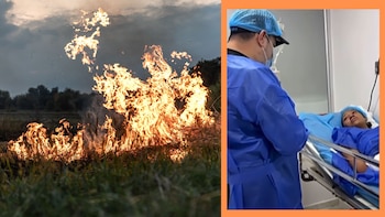 Valiente madre se lanzó al