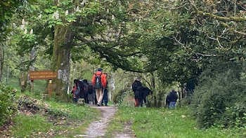 Los latinos marcaron como más