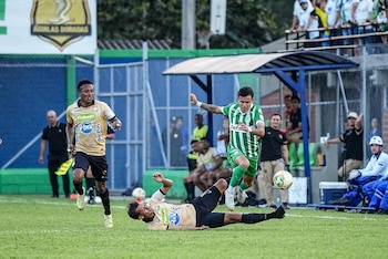 El verde se hizo fuerte