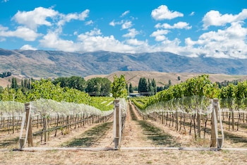 Sam Neill manifestó su rechazo al proyecto de mina de oro Bendigo-Ophir, que amenaza el entorno natural de Central Otago (Shutterstock)
