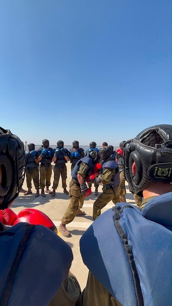 IDF