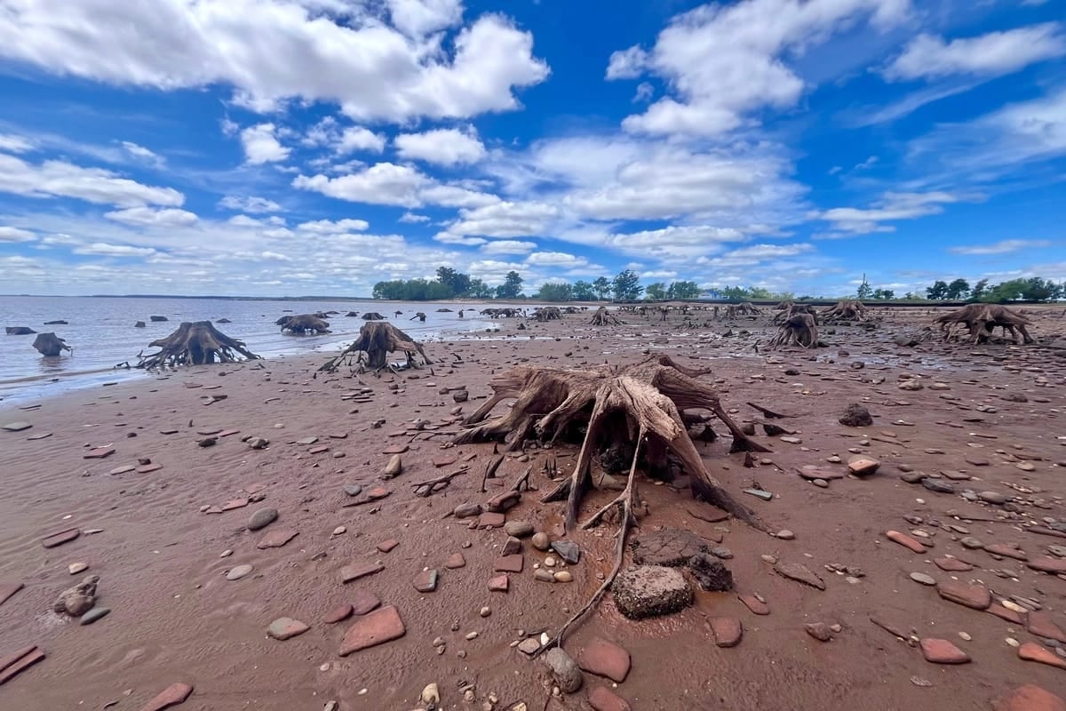 La represa de Salto Grande mantuvo el nivel de su embalse por debajo del límite máximo para contener la crecida (Crédito: Diario Río Uruguay)
