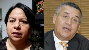 Sharmelí Bustíos pide al TC