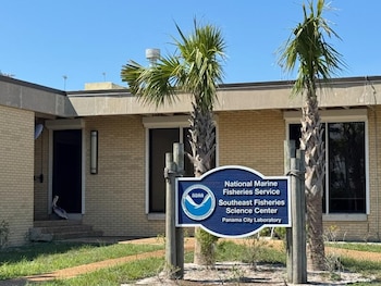 Un letrero de NOAA frente a un edificio bajo con palmeras, césped y un pelícano pardo junto a la puerta