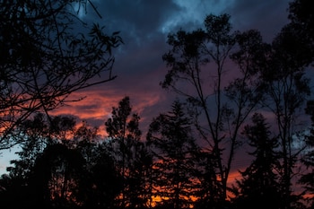 La Policía Federal ya inició