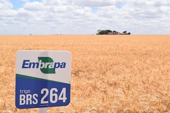 El vecino país ha desarrollado