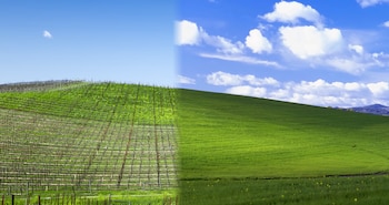 De Windows XP al presente: