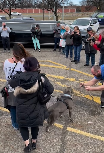 Cuando Chester llegó al refugio