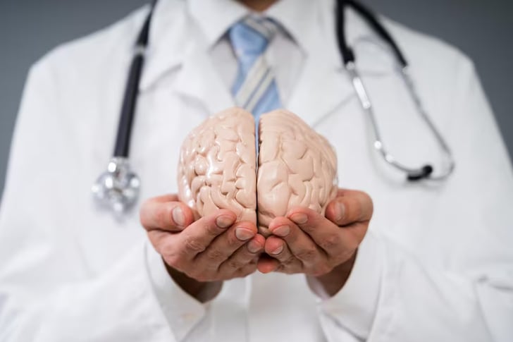 Recreación de un cerebro (Freepik)