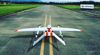 Mientras exploran el mercado, planean