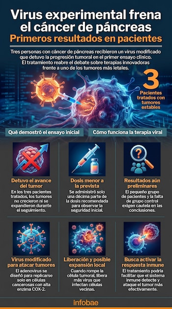 Infografía con ilustraciones de virus, células y una jeringa. Explica una terapia experimental para el cáncer de páncreas y los resultados iniciales de su ensayo clínico.