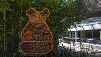 Los hoteles para insectos tienen