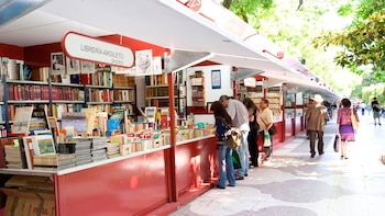 Así se celebra el Día del Libro: Barcelona, Madrid y el mapa de las ciudades donde la literatura toma las calles