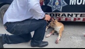 Personal del Centro de Atención