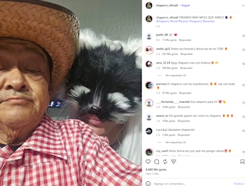 Ni el canal ni el mánager informaron las circunstancias del fallecimiento. El equipo pidió “comprensión, respeto y solidaridad hacia sus familiares, amigos, equipo de trabajo y seres queridos durante este difícil momento”. (Instagram: Alfredo Chaparro)