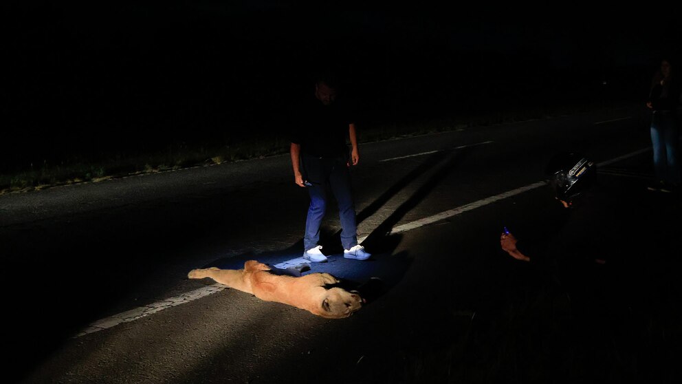 TH63AIHDVVFEJNNJREQHWXMJTM