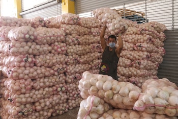 Cebolla (FOTO: GRACIELA LÓPEZ /CUARTOSCURO)