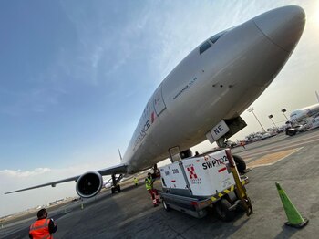 Esta fase implica que los