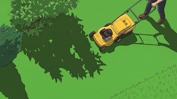 Qué es el césped líquido, la nueva tendencia que promete transformar patios y jardines